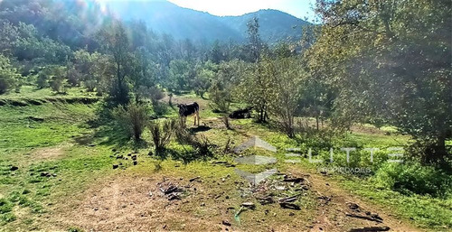 Agrícola En Venta En Olmué