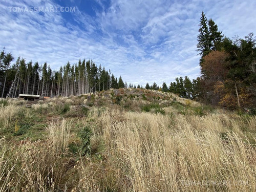 Imagen 4 de 5 de Terreno - San Carlos De Bariloche
