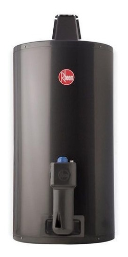 Termotanque Rheem 80 Litros De Colgar Gas Carga Inf