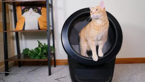 Litter Robot 4 Caixa De Areia Automática