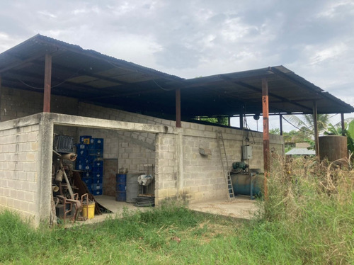 Finca En El Asentamiento Campesino Las Mariposa Plf-003