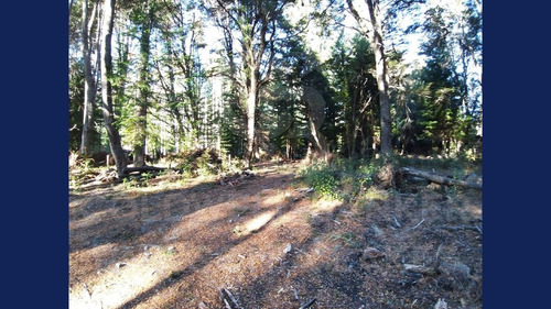 Imagen 17 de 26 de Venta Lote/terreno De 4955.50 M2 Cauquen 100 Altos De Manzano Villa La Angostura