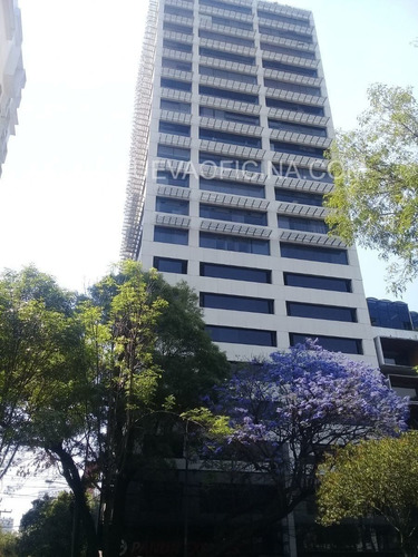 Renta Oficina 355m2 Acondicionada -av.insurgentes,álvaro Obregón-