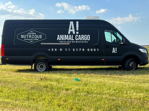 Traslado De Mascotas Noroeste Argentino Todo El Año