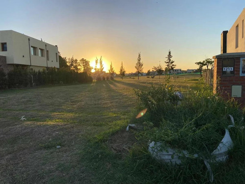 Imagen 5 de 18 de Terreno - El Trebol