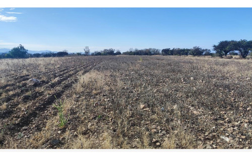 Terreno En Venta En Palmillas, San Juan Del Río, Querétaro
