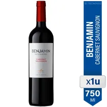 Comprar Vino Cabernet Sauvignon Benjamin X750 Ml