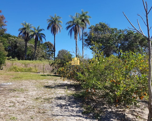 Imagem 14 de 30 de Fazenda Em Padre Joao - Esmeraldas - Fa00002 - 34187187