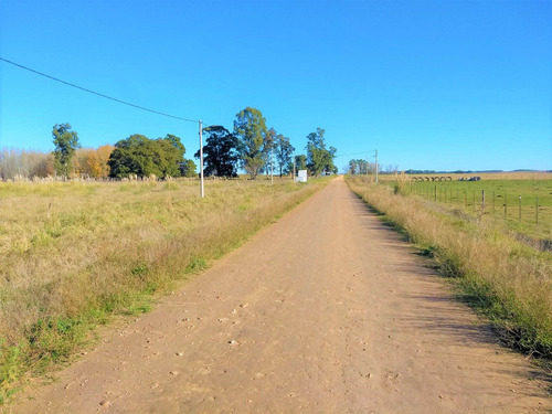 Imagen 14 de 16 de Venta Terreno Gardey Tandil Divisible En Ph 25x35