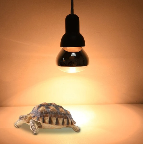 Lámpara Calefactora Para Secado De Alimentos Para Reptiles,