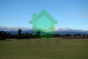 Imagen 6 de 10 de Agrícola En Venta En Puyehue