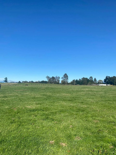 Se Vende, Parcela 2,1 Hectáreas Región De Los Lagos