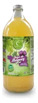 Comprar Bebida Jugo Verde Santo Cardo Mariano Presentación Vidrio 1l