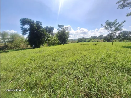 Venta Lotes En Quimbaya -quindío Colombia Cod: 7555717