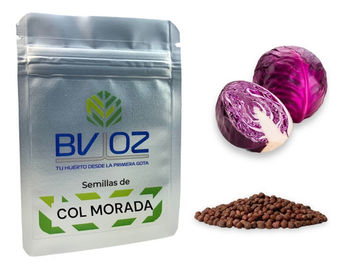 Semillas De Col Morada. Cultivo Agrícola