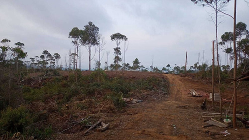 Imagem 9 de 14 de 01- Terrenos Com Agua E Luz Em Mogi Das Cruzes !