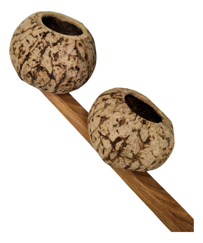Agogô Duplo De Castanha Do Pará - Instrumento De Percussão