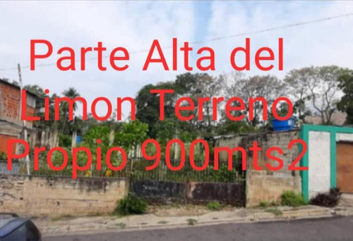 Imagen 1 de 8 de Terreno En Avenida Circunvalación Sector Los Capuchinos El Limón Maracay Aragua Venezuela