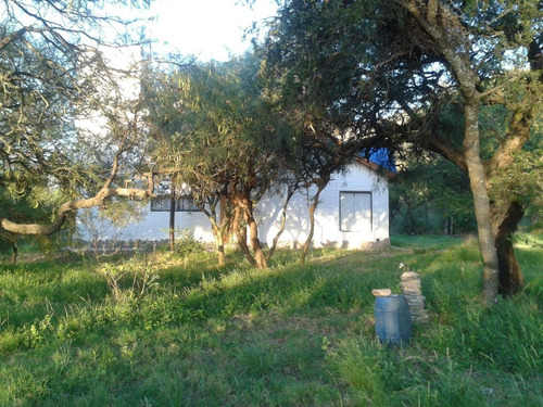 Imagen 13 de 13 de Oportunidad Cabaña 2 Ambientes 3100m2 Escucha Oferta