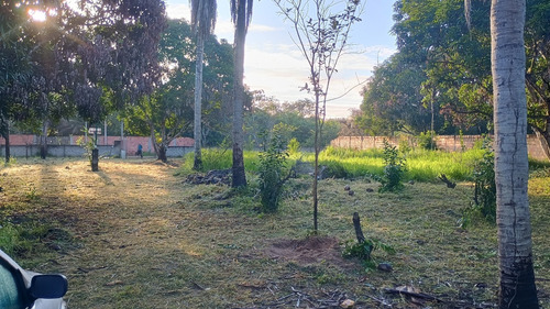 Sítio Em Aramari Próximo A Alagoinhas