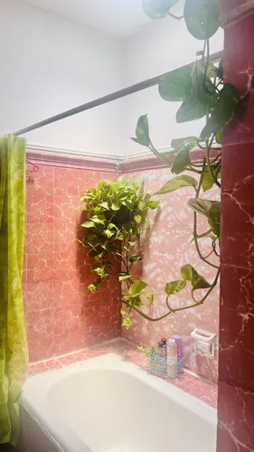 Casa En Venta/ Terreno Excelente Para Desarrollo Inmobiliario