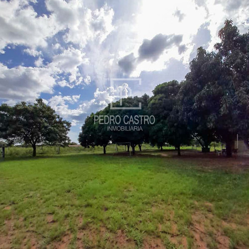 Imagen 15 de 18 de Pedro Castro Inmobiliaria Vende Finca Ubicada En San Jacinto, Ciudad Guayana #crecimientoagricola #agricultura #casacampo #descanso #familia