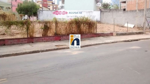 Imagem 6 de 25 de Lote De Esquina Com 482m², Localizado Na Principal Avenida Do Bairro Onde Terá O Viaduto Da Via 710 Que Liga O Bairro Fernão Dias Com O Bairro União E Minas Shopping. Oportunidade Para Construção De