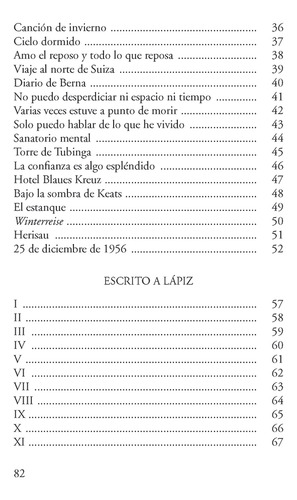 Los Cuadernos Perdidos De Robert Walser