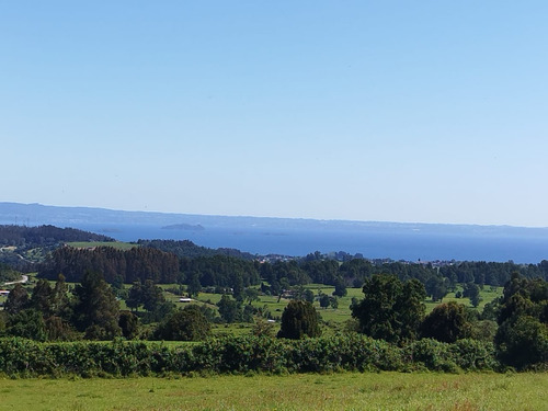 Parcelas De 5000 M2, Vista Al Lago, Bosque Y Orilla Estero