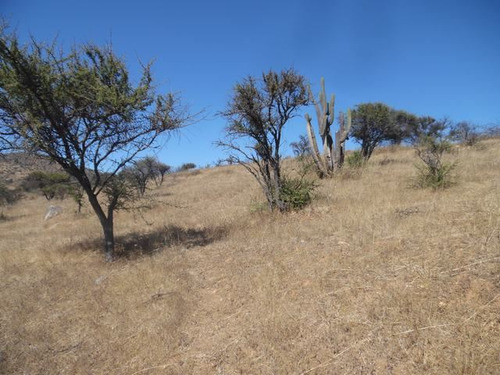 Agrícola En Venta En San Pedro