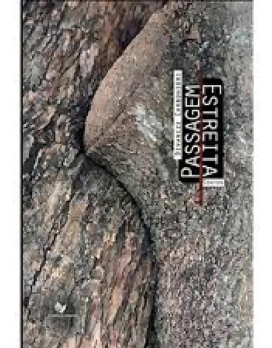 Passagem Estreita, De Divanize Carbonieri. Editora Tanta Tinta, Capa Mole Em Português
