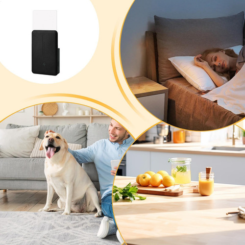 Armadilhas Para Moscas De Frutas Para Ambientes Internos Arm