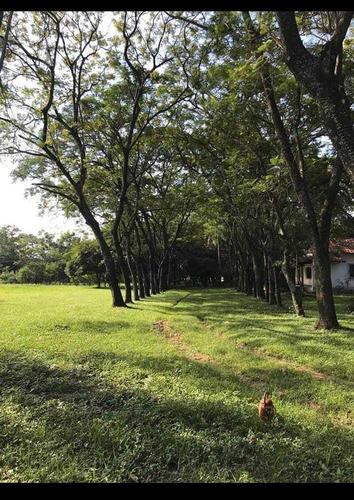 Venta De Terreno Con Casa Quinta