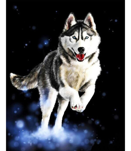 Pintura Al Óleo De Husky Por Números, Dibujo Acrílico Sobre