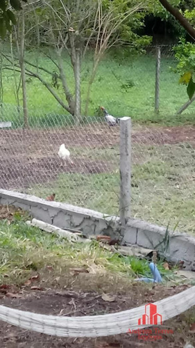 Imagem 19 de 19 de Chácara À Venda No Bairro Pinheirinho - Taubaté/sp - 1753