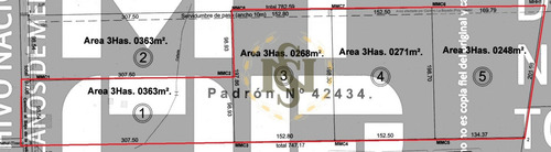 Venta Terreno Logistico Ruta 1 Prox. Con Renta (ref: Xcm-12963)
