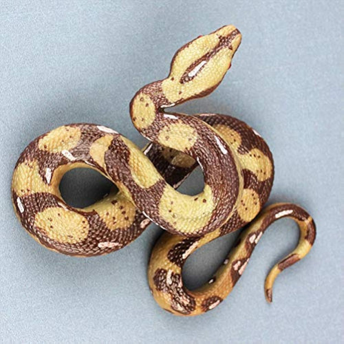 Stobok - Figura De Serpiente De Goma Realista Para