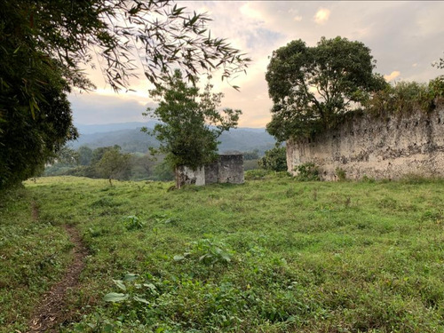 Terreno 4119m² En Coatepec Veracruz (pueblo Mágico)