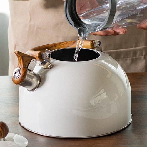 . Tetera De Acero Inoxidable De 3l, Tetera Con Silbido,