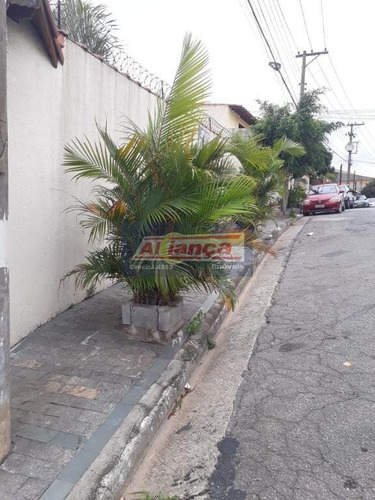 Área Comercial À Venda, Jardim Munhoz, Guarulhos - Ar0059. - Ai8132