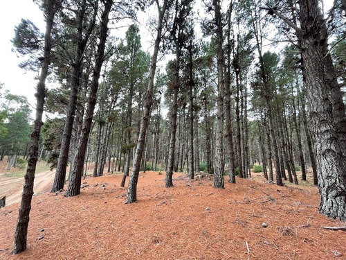 Imagen 4 de 6 de Villa Robles , Excelente Lote De Terreno
