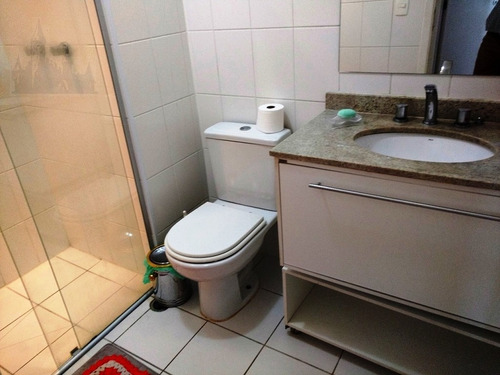 Imagem 16 de 17 de Apartamento Para Venda, 3 Dormitórios, Ipiranga - São Paulo - 11157