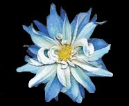 Imagen 2 de 10 de Mosaico Flor Dalia De 1.00 Mt. De Diametro Para Alberca O