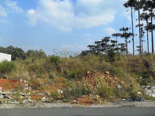 Terreno A Venda No Bairro Guatupê Em São José Dos Pinhais - 5570-1