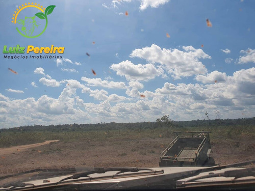 Imagem 14 de 15 de Fazenda À Venda Em Rondom - Pa - 11.000 Hectares (dupla Aptidão) - 1949