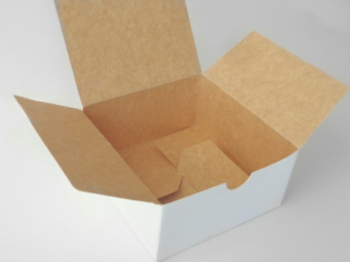 Cajas Para Hamburguesas Congeladas X100u (14x14x7cm) Tx Auto