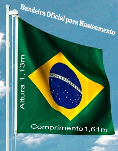Bandeira Do Brasil Tamanho 1,13x1,61m Nylon 2,5 Pano Oficial