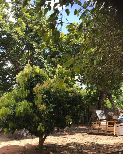 Imagem 8 de 18 de Chácara À Venda Na Vila Minerão - Sorocaba/sp - Ch00803 - 70632841