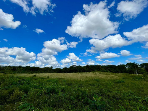 Terreno En Venta Y Alquiler En La Av. Circunvalación, Santo 