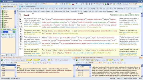 Imagen 4 de 10 de Pack 5 Modulos Interlineales Y Diccionarios Bíblicos